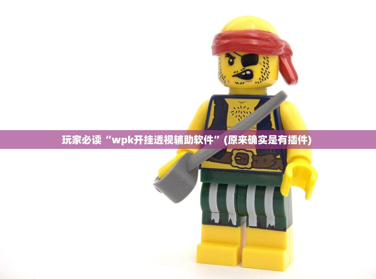 玩家必读“wpk开挂透视辅助软件	”(原来确实是有插件) 