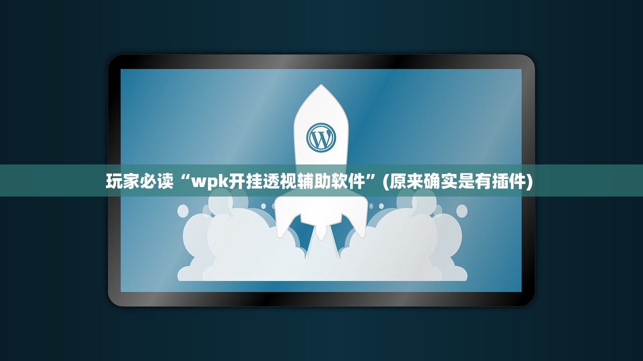 玩家必读“wpk开挂透视辅助软件”(原来确实是有插件) 