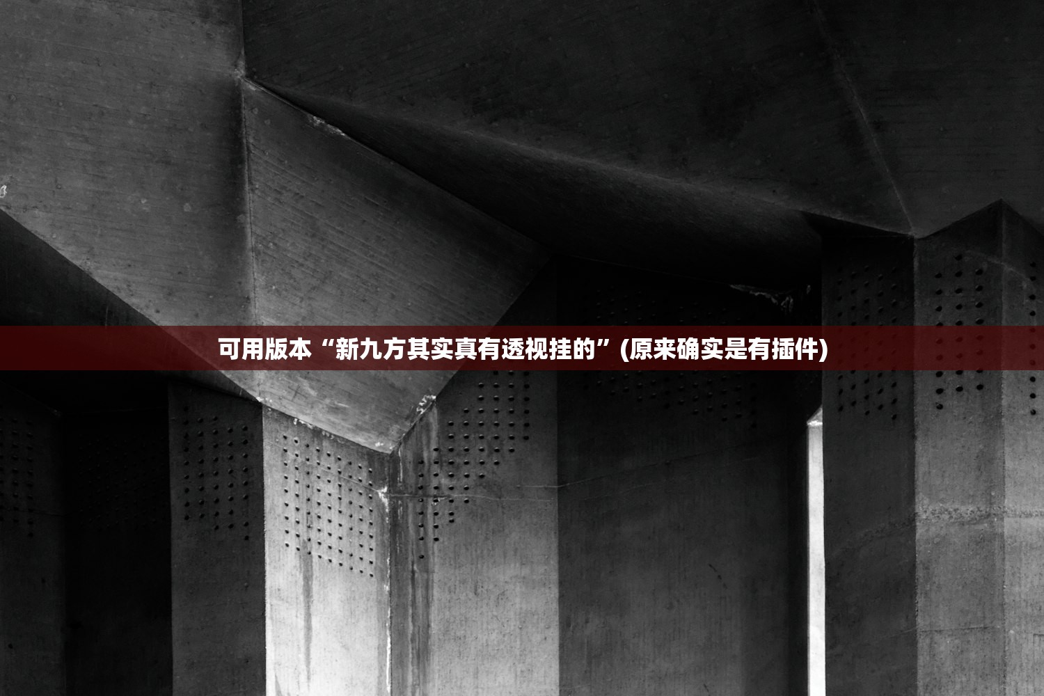 可用版本“新九方其实真有透视挂的”(原来确实是有插件)