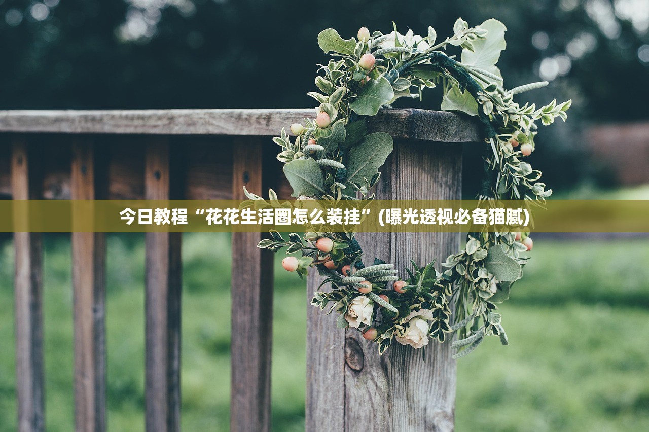 今日教程“花花生活圈怎么装挂	”(曝光透视必备猫腻)