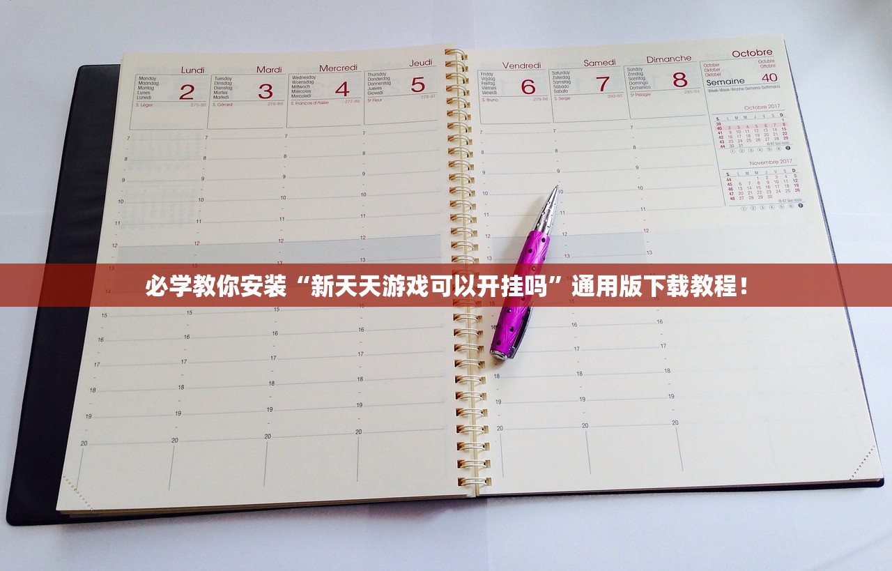 必学教你安装“新天天游戏可以开挂吗”通用版下载教程！