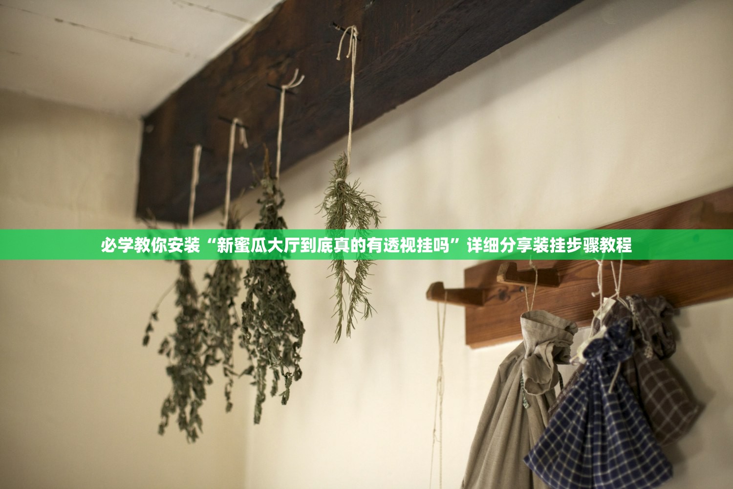必学教你安装“新蜜瓜大厅到底真的有透视挂吗”详细分享装挂步骤教程