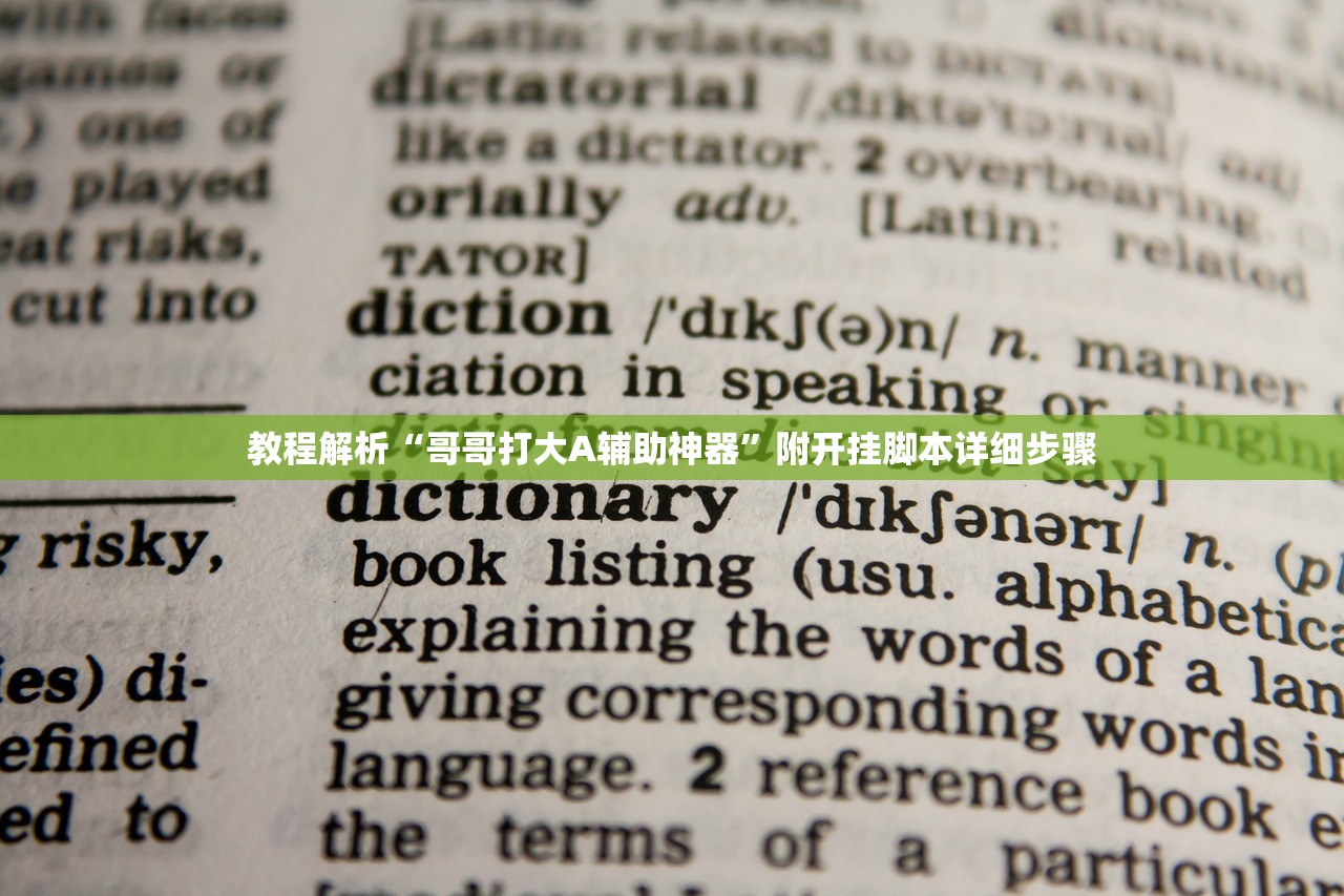 教程解析“哥哥打大A辅助神器”附开挂脚本详细步骤