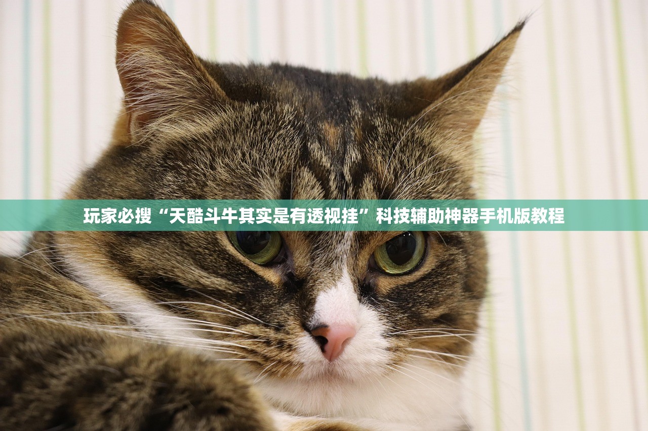 玩家必搜“天酷斗牛其实是有透视挂”科技辅助神器手机版教程