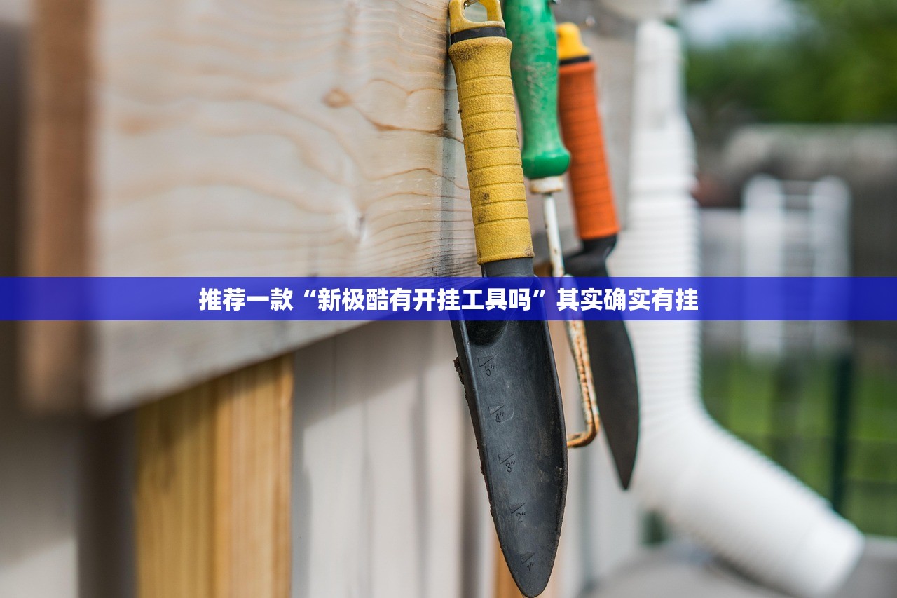 推荐一款“新极酷有开挂工具吗”其实确实有挂