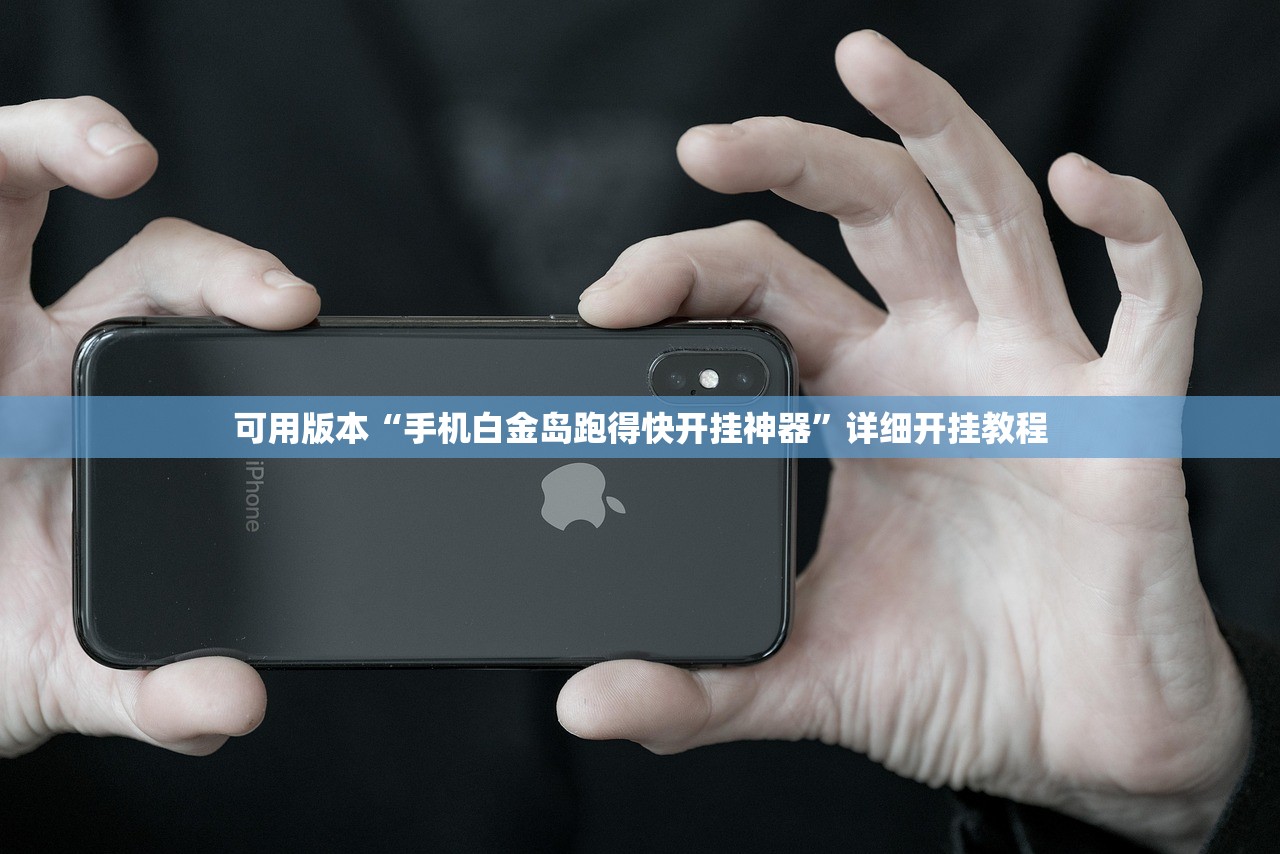 可用版本“手机白金岛跑得快开挂神器	”详细开挂教程