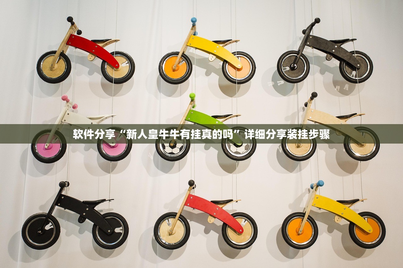 软件分享“新人皇牛牛有挂真的吗	”详细分享装挂步骤