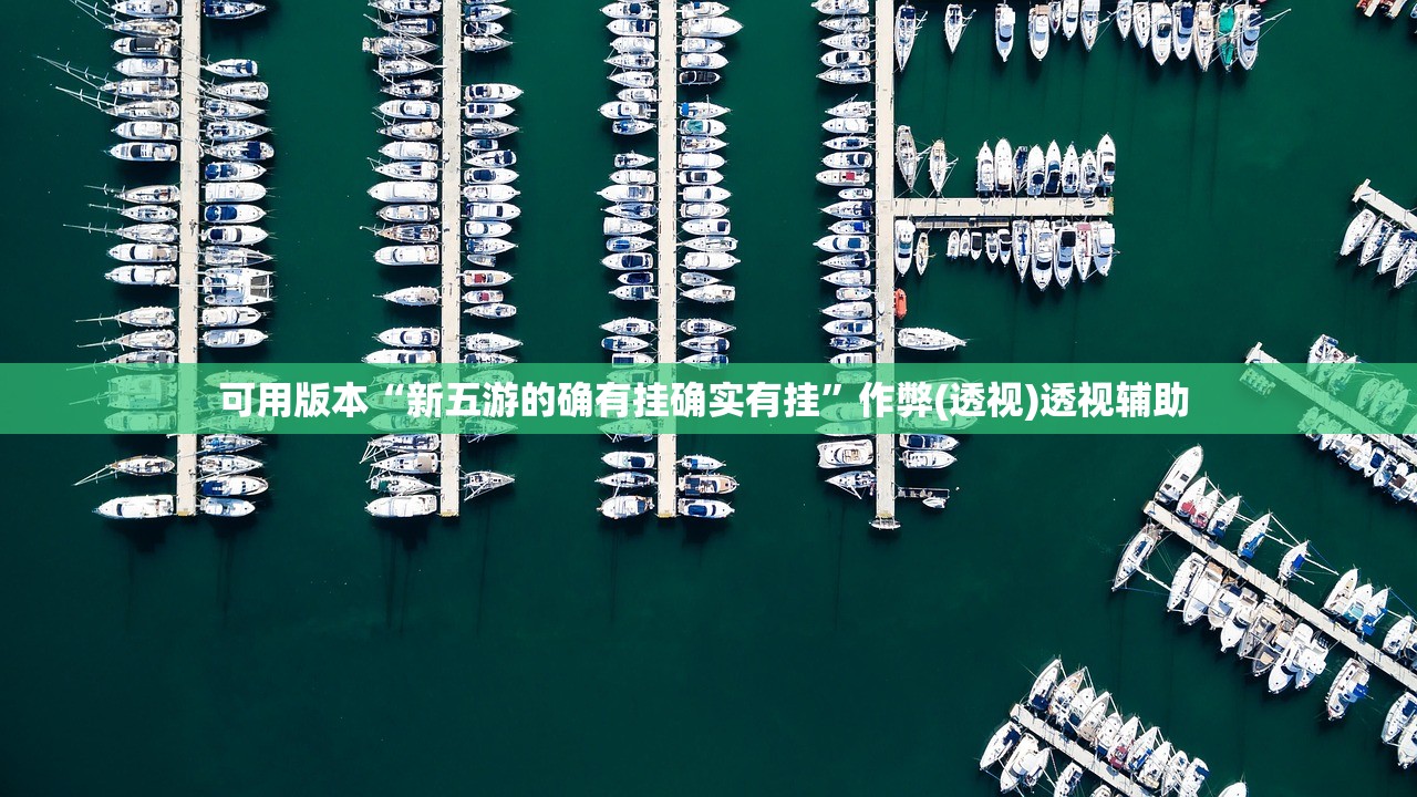 可用版本“新五游的确有挂确实有挂	”作弊(透视)透视辅助 
