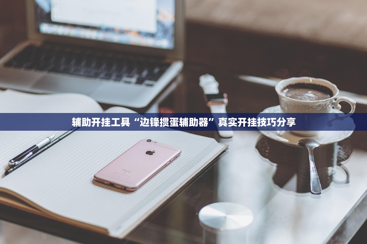 辅助开挂工具“边锋掼蛋辅助器”真实开挂技巧分享