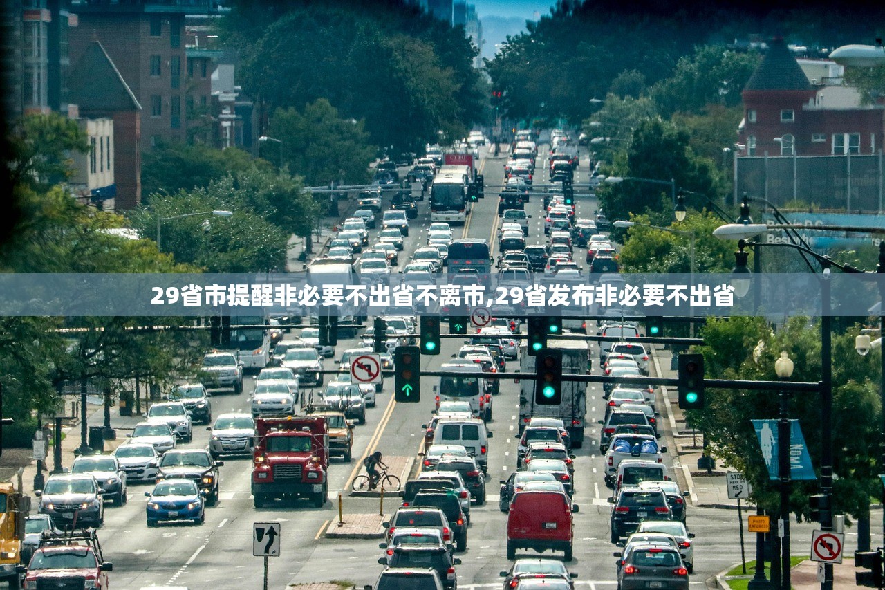 29省市提醒非必要不出省不离市,29省发布非必要不出省 29省市提醒非必要不出省不离市,29省发布非必要不出省