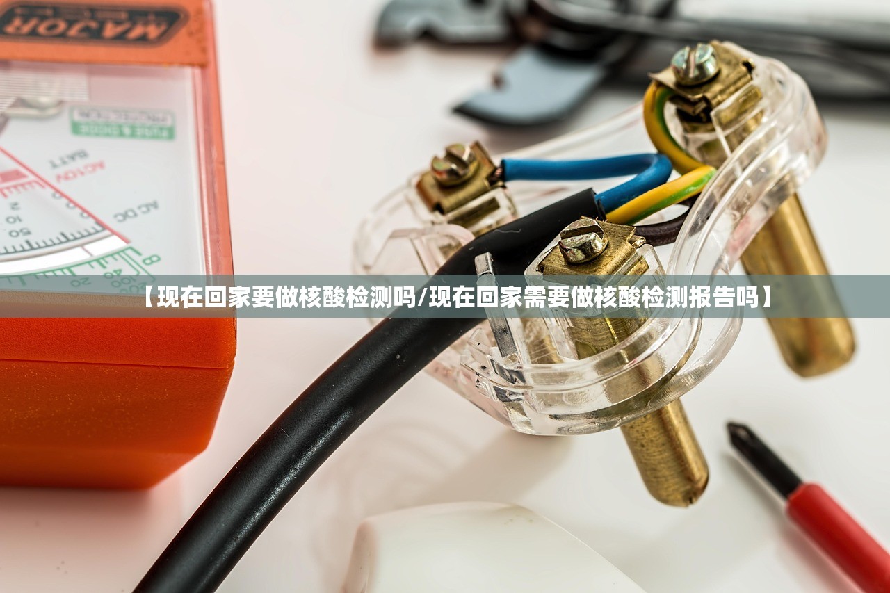 【现在回家要做核酸检测吗/现在回家需要做核酸检测报告吗】