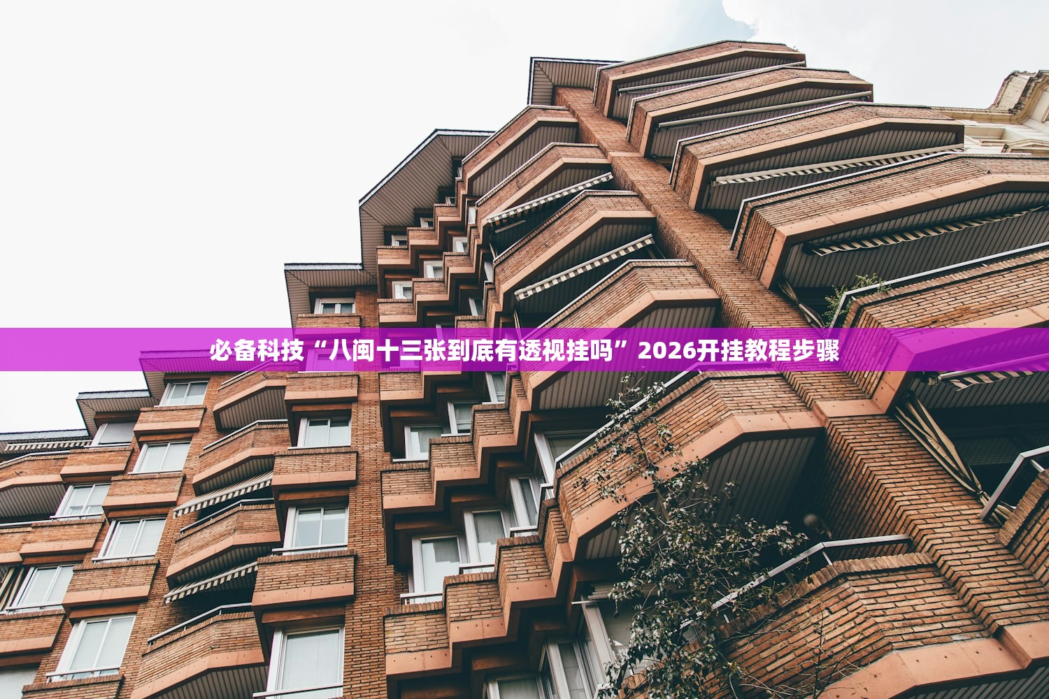 必备科技“八闽十三张到底有透视挂吗”2026开挂教程步骤
