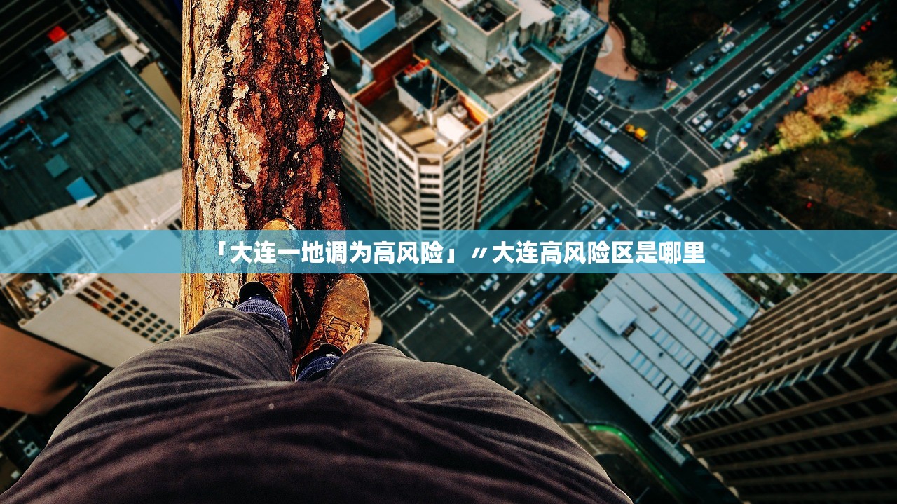 「大连一地调为高风险」〃大连高风险区是哪里