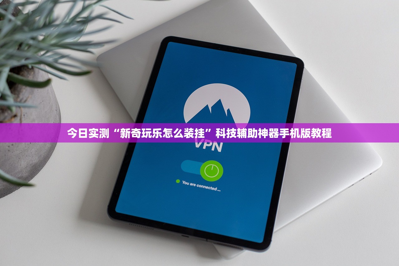 今日实测“新奇玩乐怎么装挂”科技辅助神器手机版教程