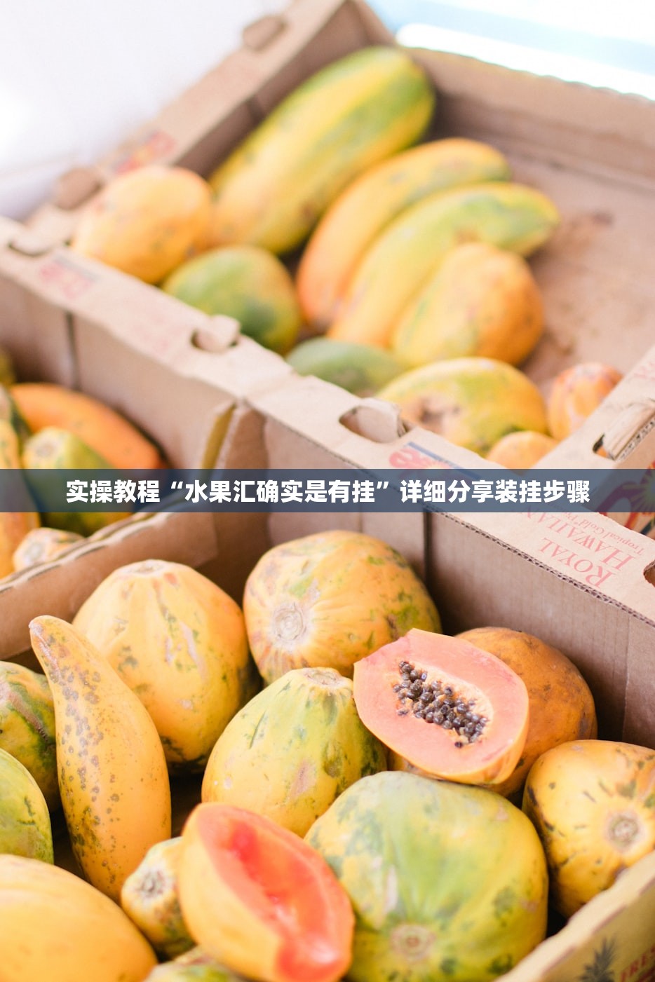 实操教程“水果汇确实是有挂	”详细分享装挂步骤