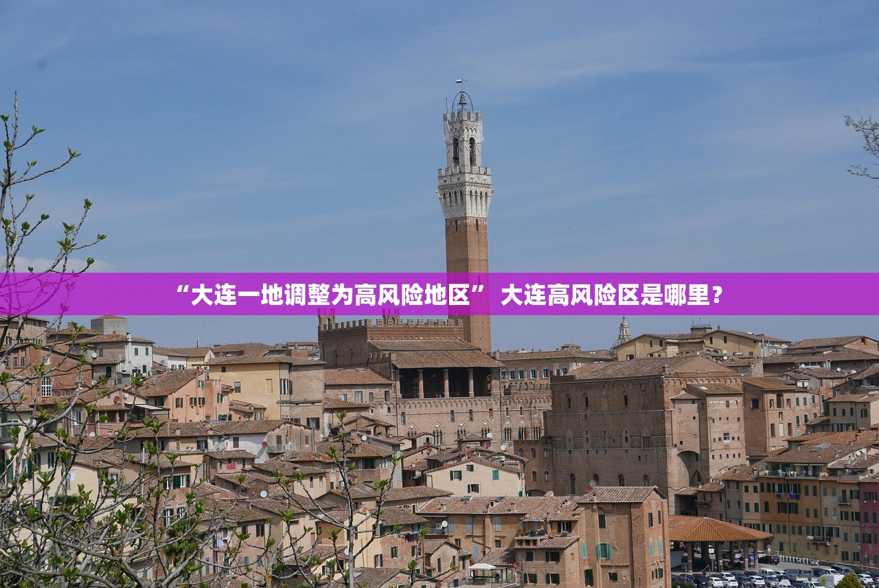 “大连一地调整为高风险地区” 大连高风险区是哪里？