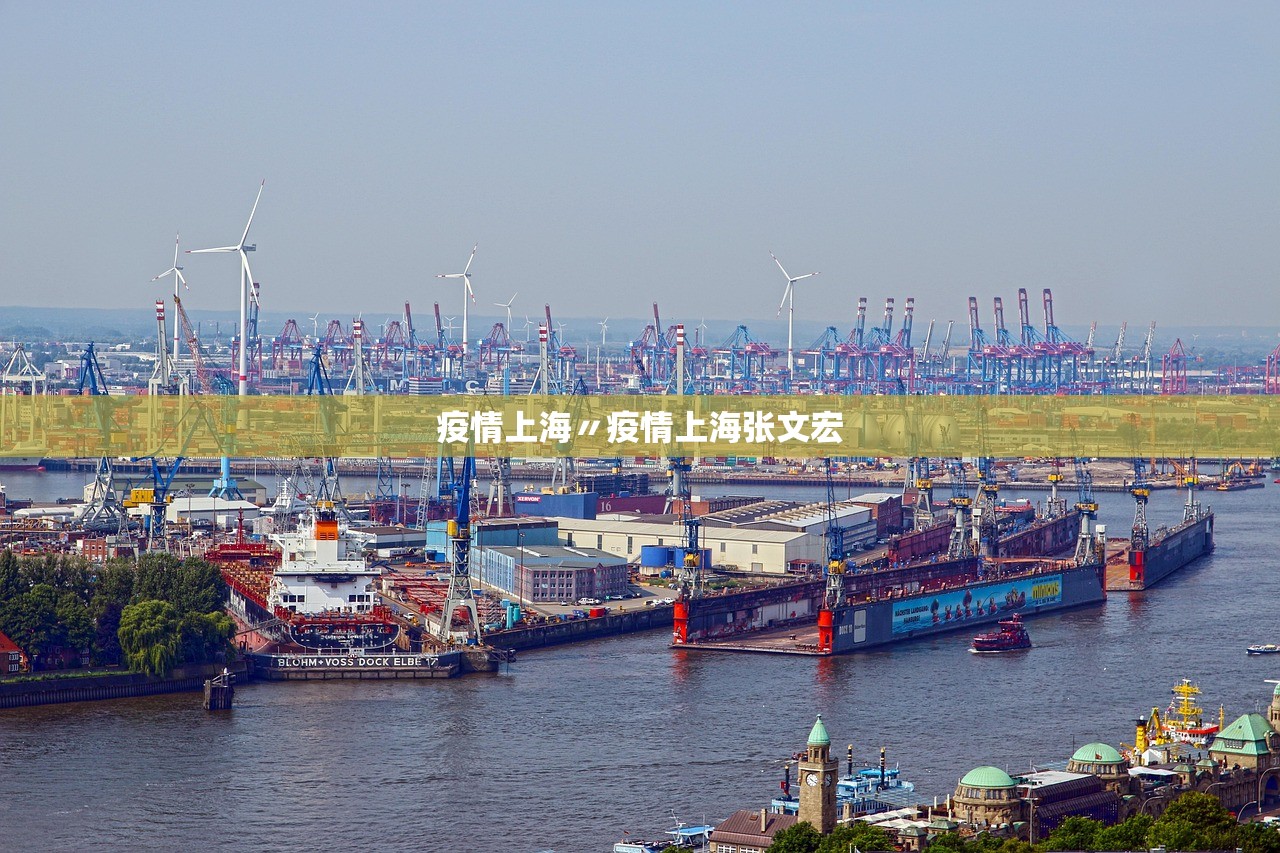 疫情上海〃疫情上海张文宏