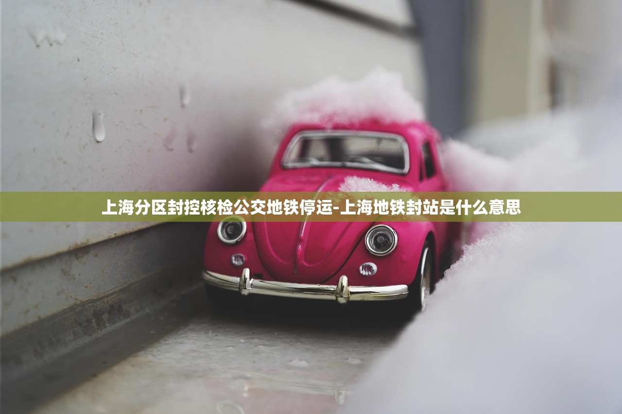 上海分区封控核检公交地铁停运-上海地铁封站是什么意思