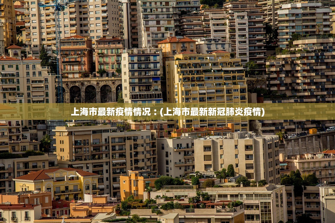 上海市最新疫情情况︰(上海市最新新冠肺炎疫情)
