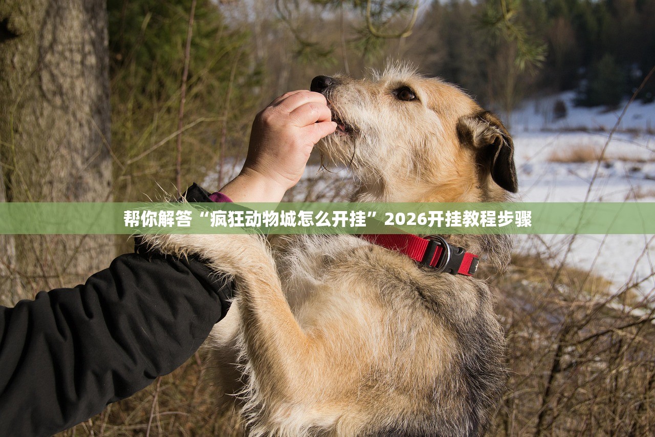 帮你解答“疯狂动物城怎么开挂	”2026开挂教程步骤