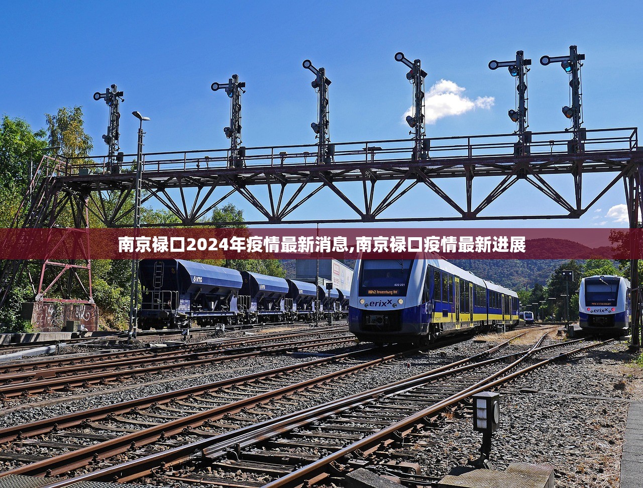 南京禄口2024年疫情最新消息,南京禄口疫情最新进展