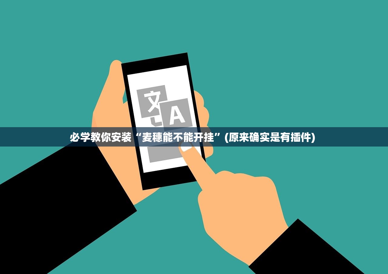 必学教你安装“麦穗能不能开挂”(原来确实是有插件) 