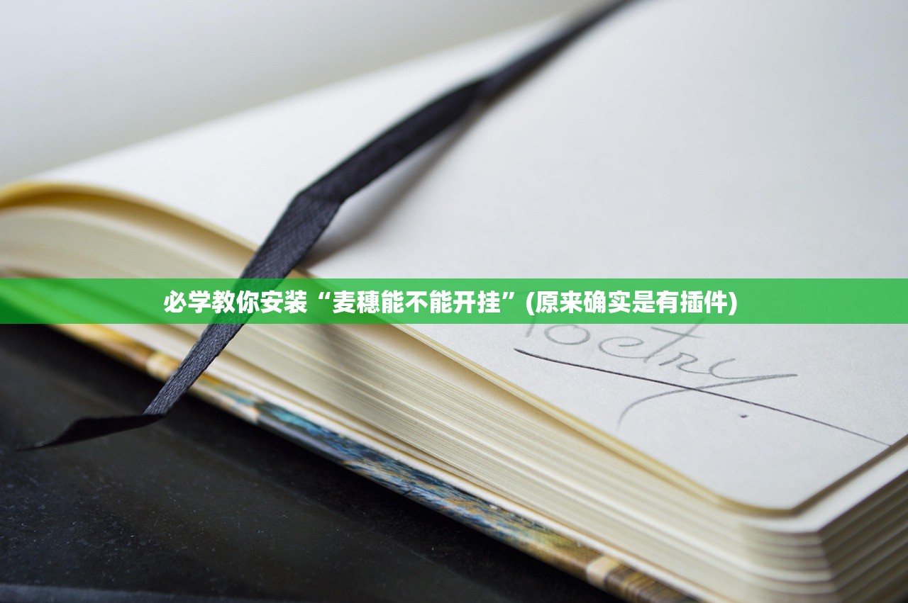 必学教你安装“麦穗能不能开挂”(原来确实是有插件) 