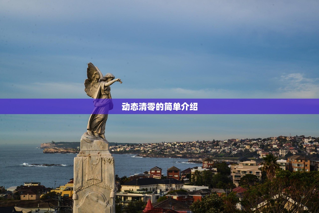 动态清零的简单介绍