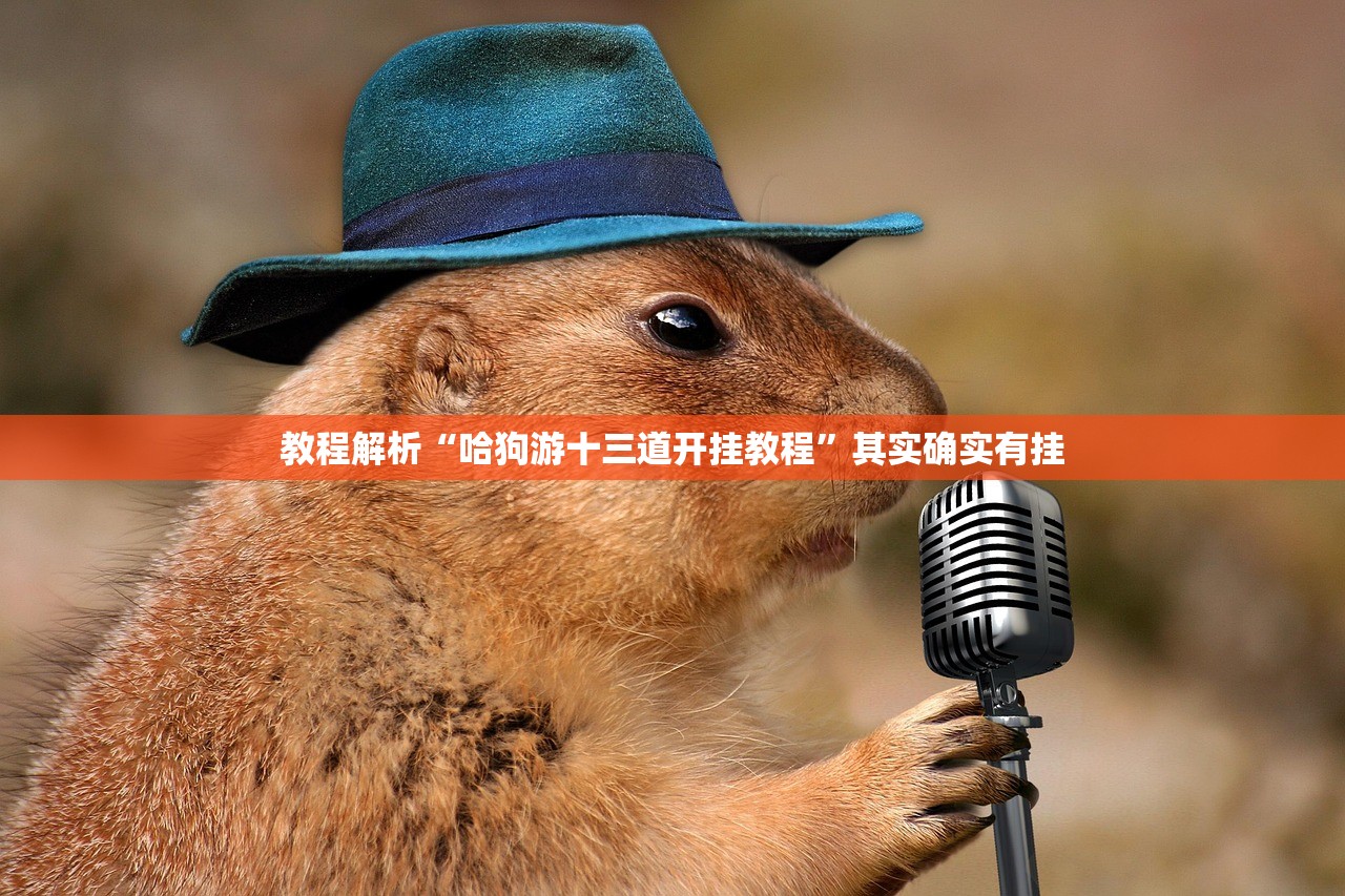 教程解析“哈狗游十三道开挂教程”其实确实有挂
