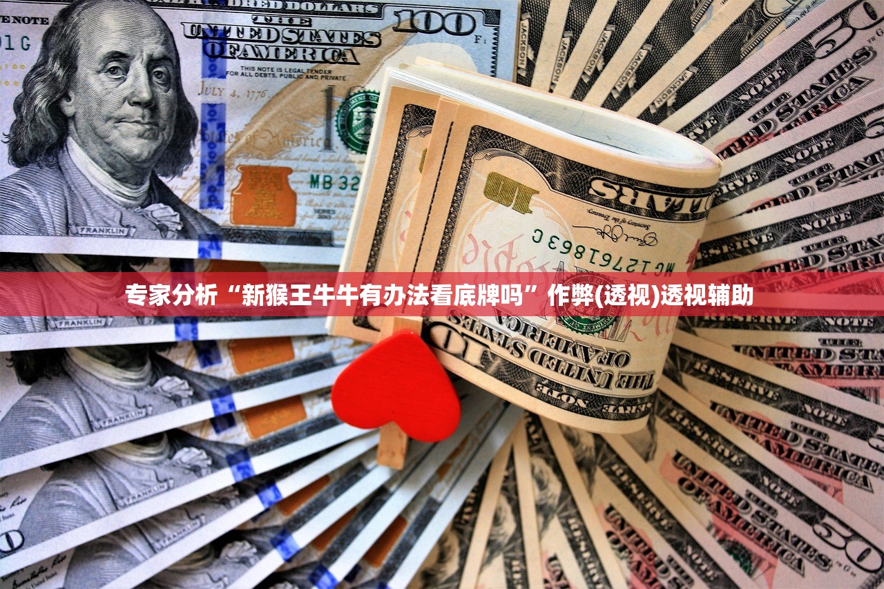 专家分析“新猴王牛牛有办法看底牌吗”作弊(透视)透视辅助 