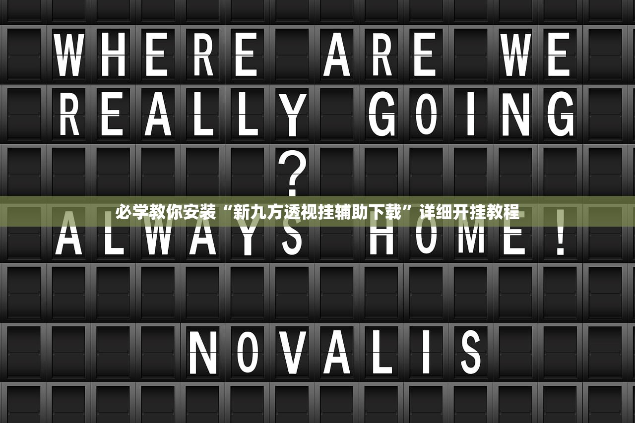必学教你安装“新九方透视挂辅助下载”详细开挂教程