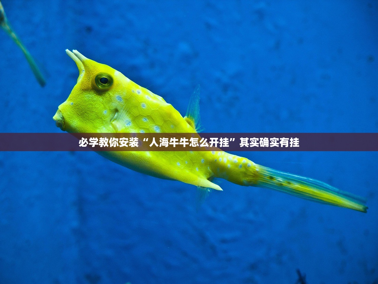 必学教你安装“人海牛牛怎么开挂	”其实确实有挂