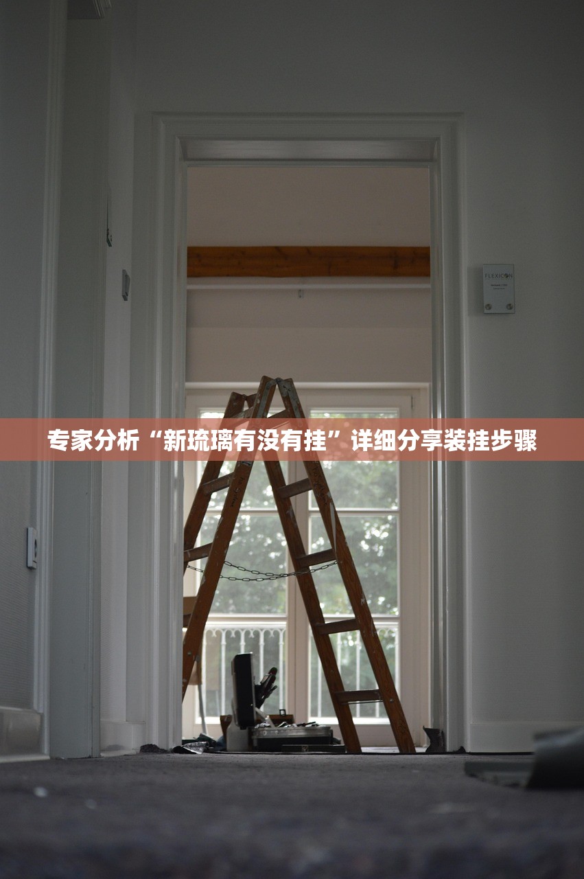 专家分析“新琉璃有没有挂”详细分享装挂步骤