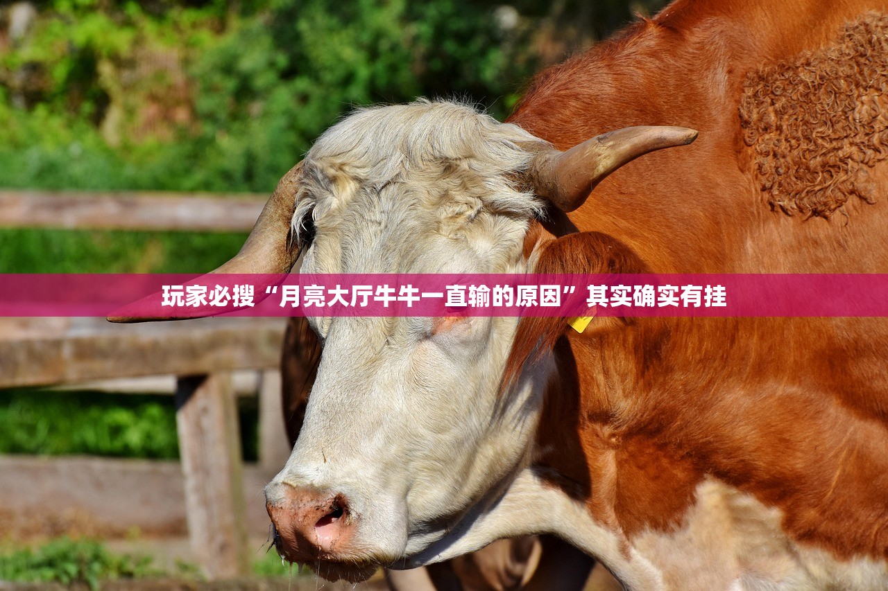玩家必搜“月亮大厅牛牛一直输的原因”其实确实有挂