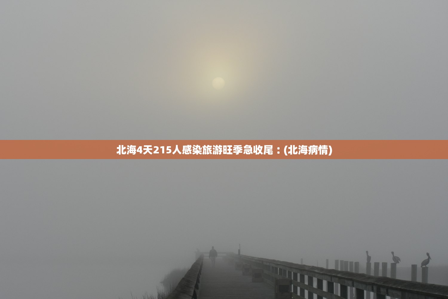 北海4天215人感染旅游旺季急收尾︰(北海病情)