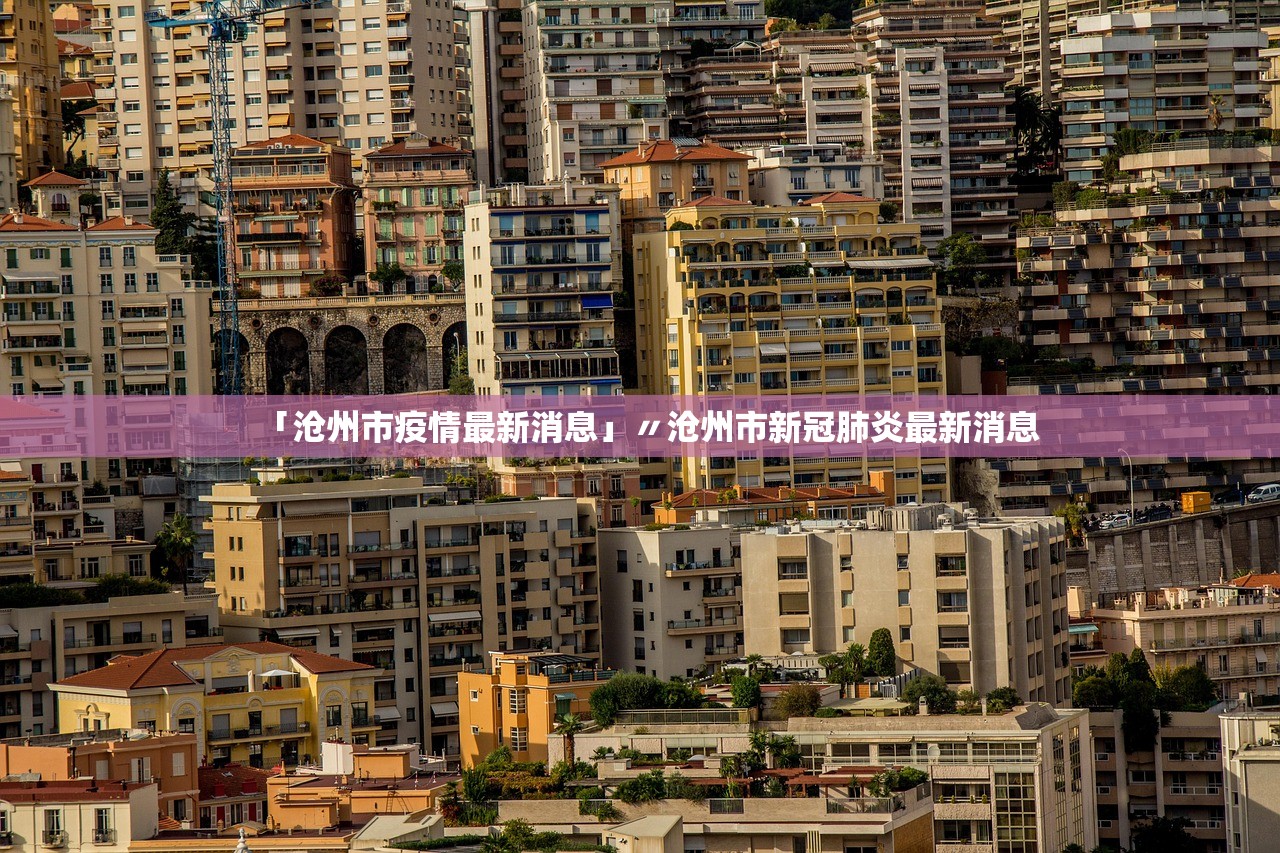 「沧州市疫情最新消息」〃沧州市新冠肺炎最新消息
