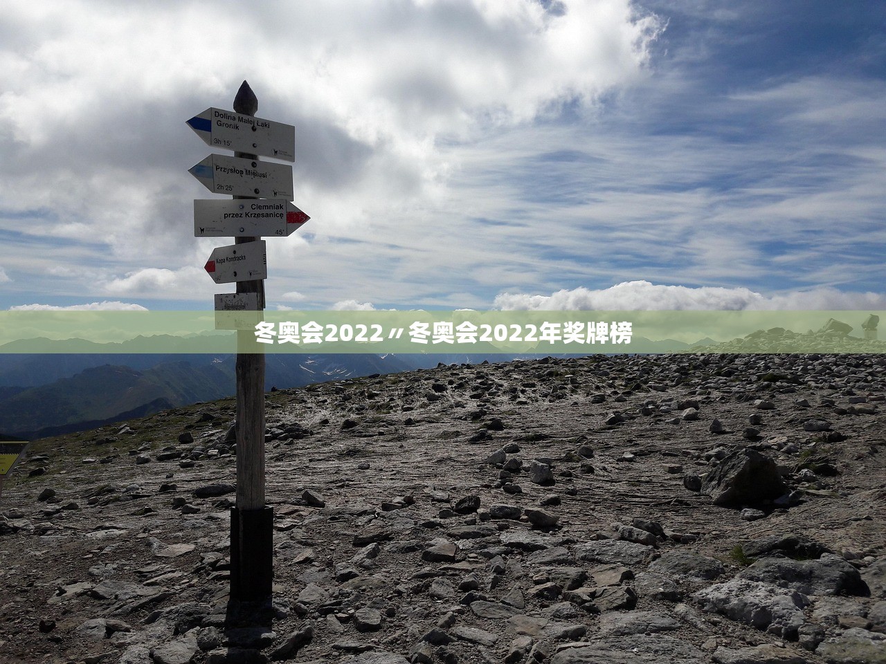 冬奥会2022〃冬奥会2022年奖牌榜