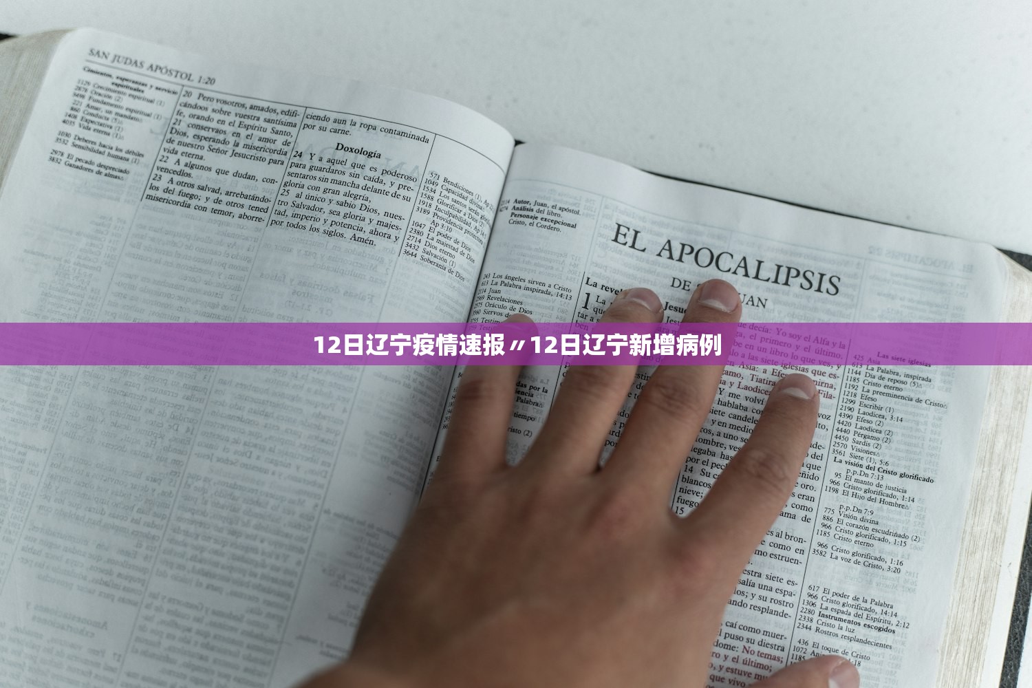 12日辽宁疫情速报〃12日辽宁新增病例 12日辽宁疫情速报〃12日辽宁新增病例
