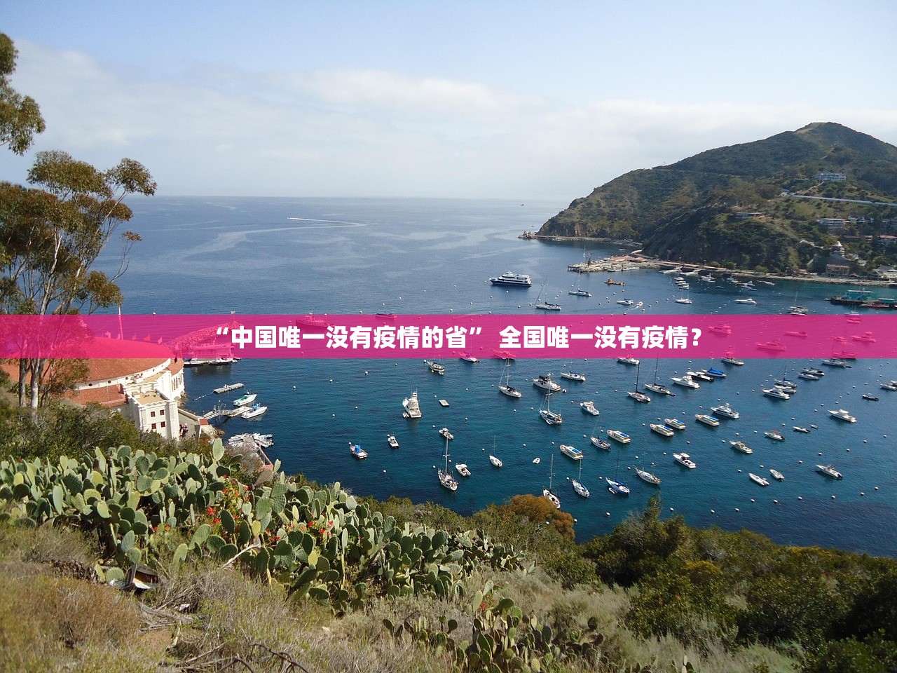 “中国唯一没有疫情的省	” 全国唯一没有疫情？