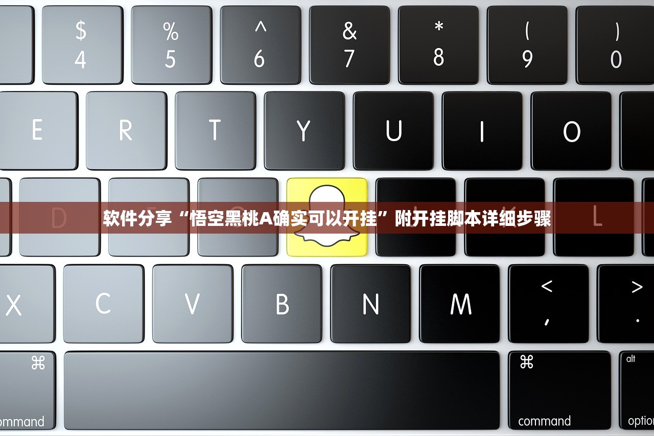 软件分享“悟空黑桃A确实可以开挂”附开挂脚本详细步骤