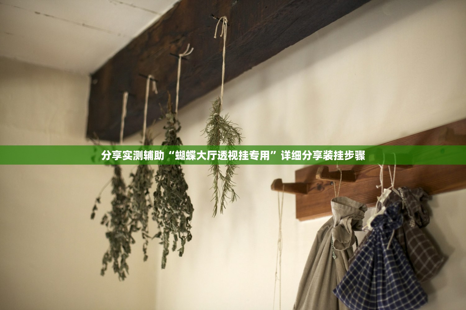 分享实测辅助“蝴蝶大厅透视挂专用”详细分享装挂步骤