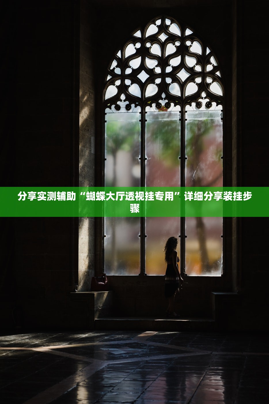 分享实测辅助“蝴蝶大厅透视挂专用	”详细分享装挂步骤