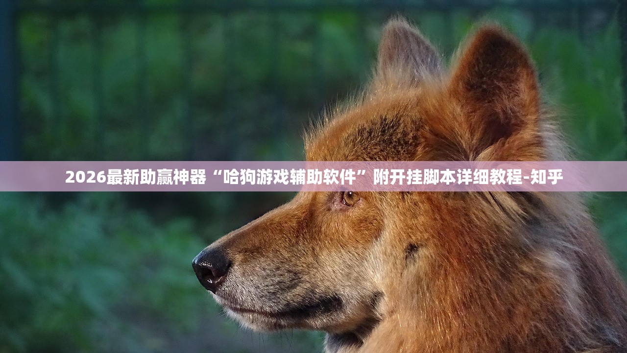 2026最新助赢神器“哈狗游戏辅助软件”附开挂脚本详细教程-知乎