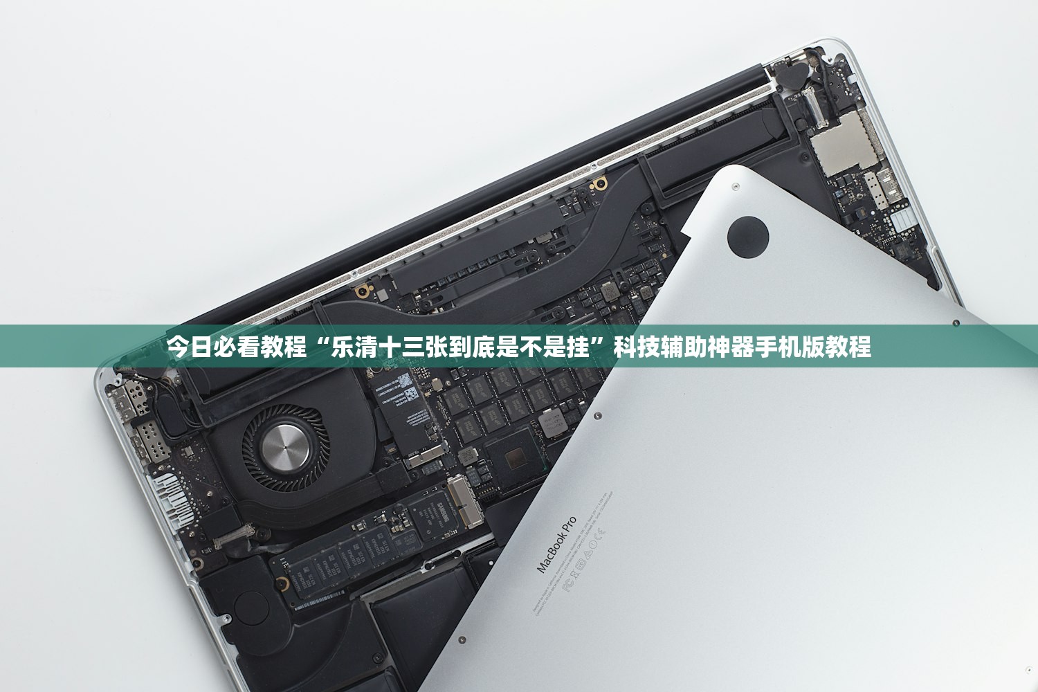 今日必看教程“乐清十三张到底是不是挂”科技辅助神器手机版教程