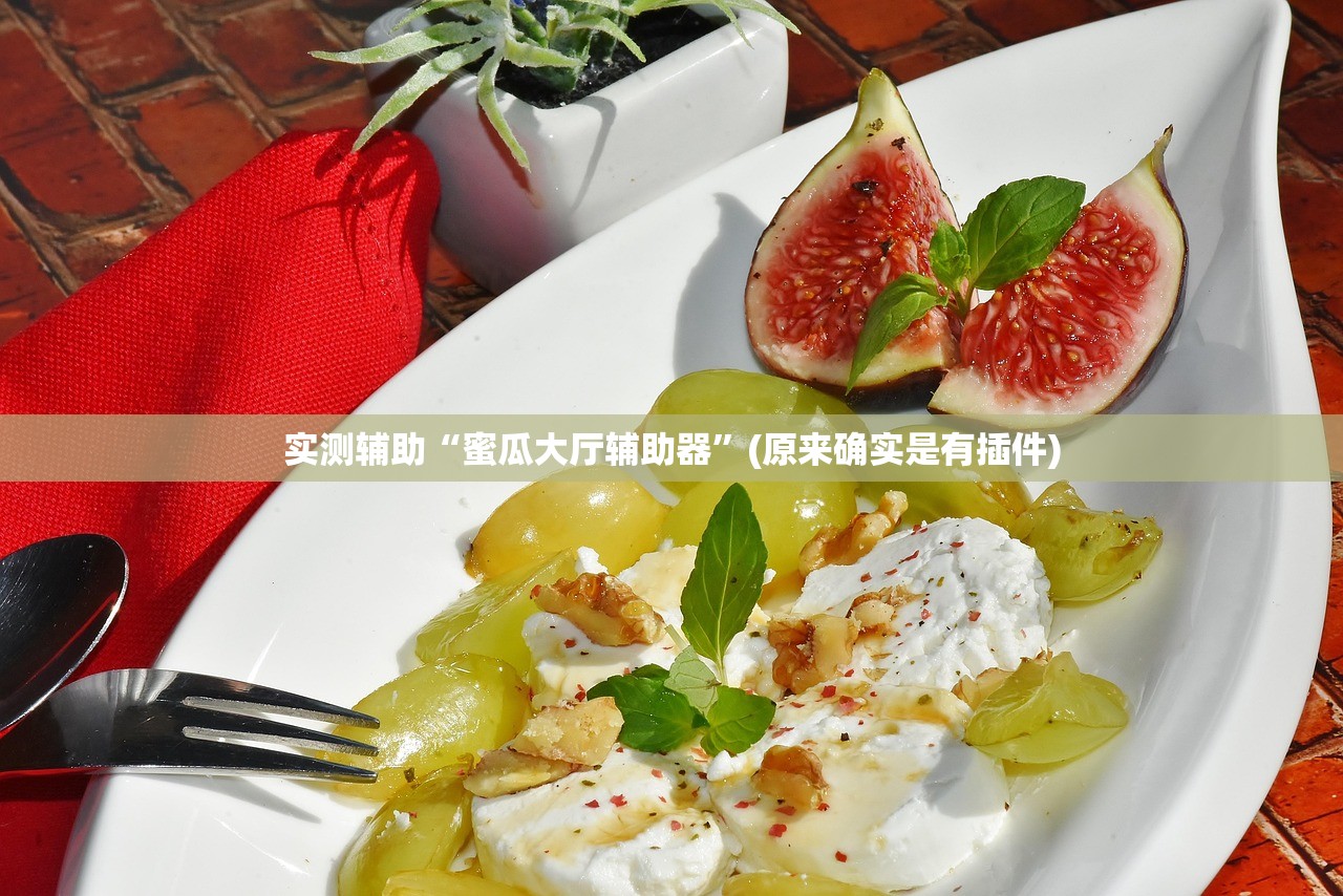实测辅助“蜜瓜大厅辅助器”(原来确实是有插件)