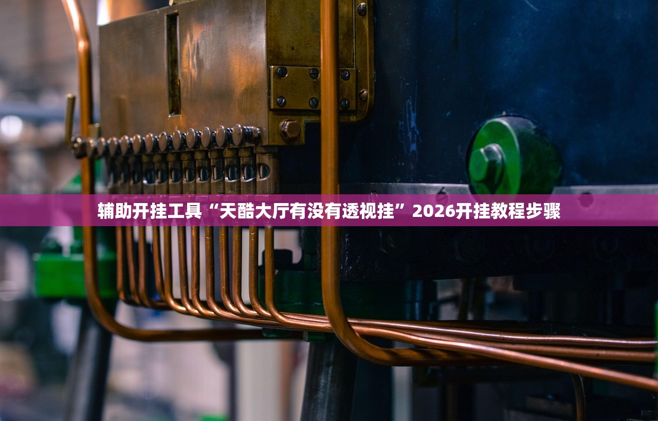 辅助开挂工具“天酷大厅有没有透视挂”2026开挂教程步骤
