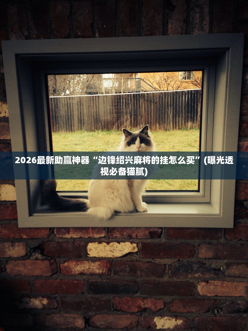2026最新助赢神器“边锋绍兴麻将的挂怎么买”(曝光透视必备猫腻)