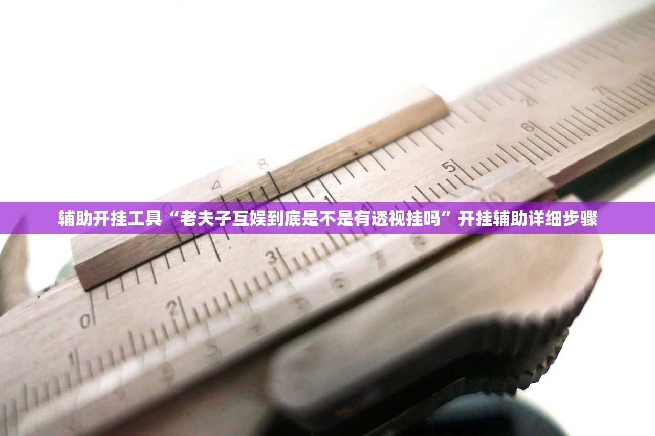 辅助开挂工具“老夫子互娱到底是不是有透视挂吗”开挂辅助详细步骤