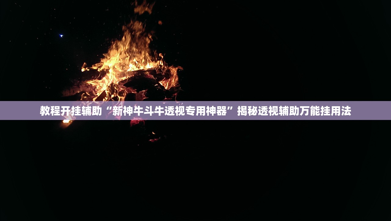 教程开挂辅助“新神牛斗牛透视专用神器”揭秘透视辅助万能挂用法