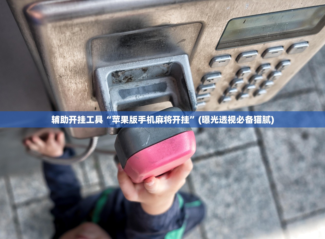 辅助开挂工具“苹果版手机麻将开挂”(曝光透视必备猫腻)